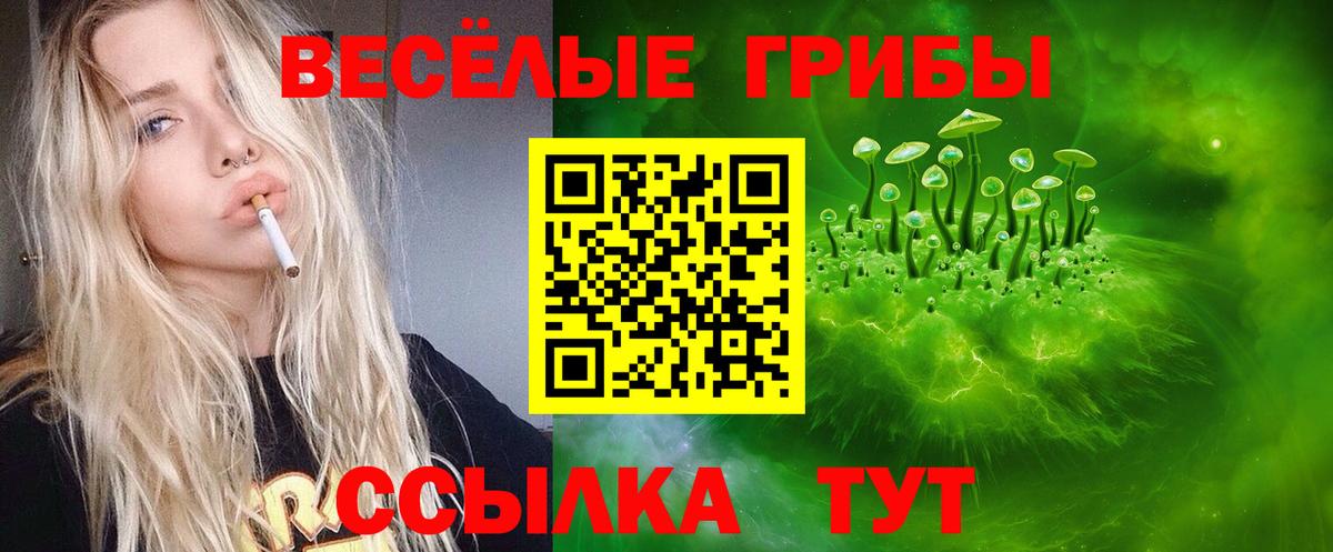 Железноводск  Псилоцибиновые грибы Psilocybe  Псилоцибиновые грибы MAGIC MUSHROOMS  Вход с VPN 